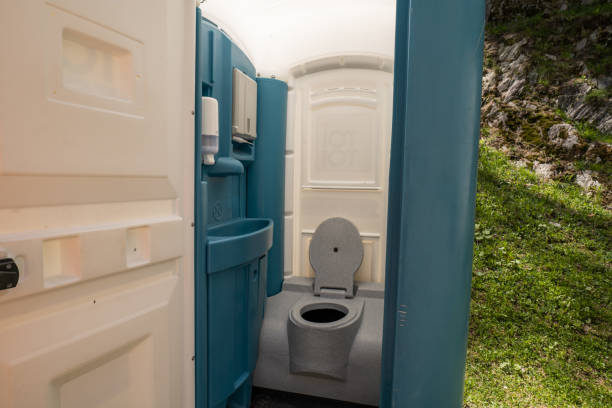 Best Affordable portable toilet rental  in Algonac, MI